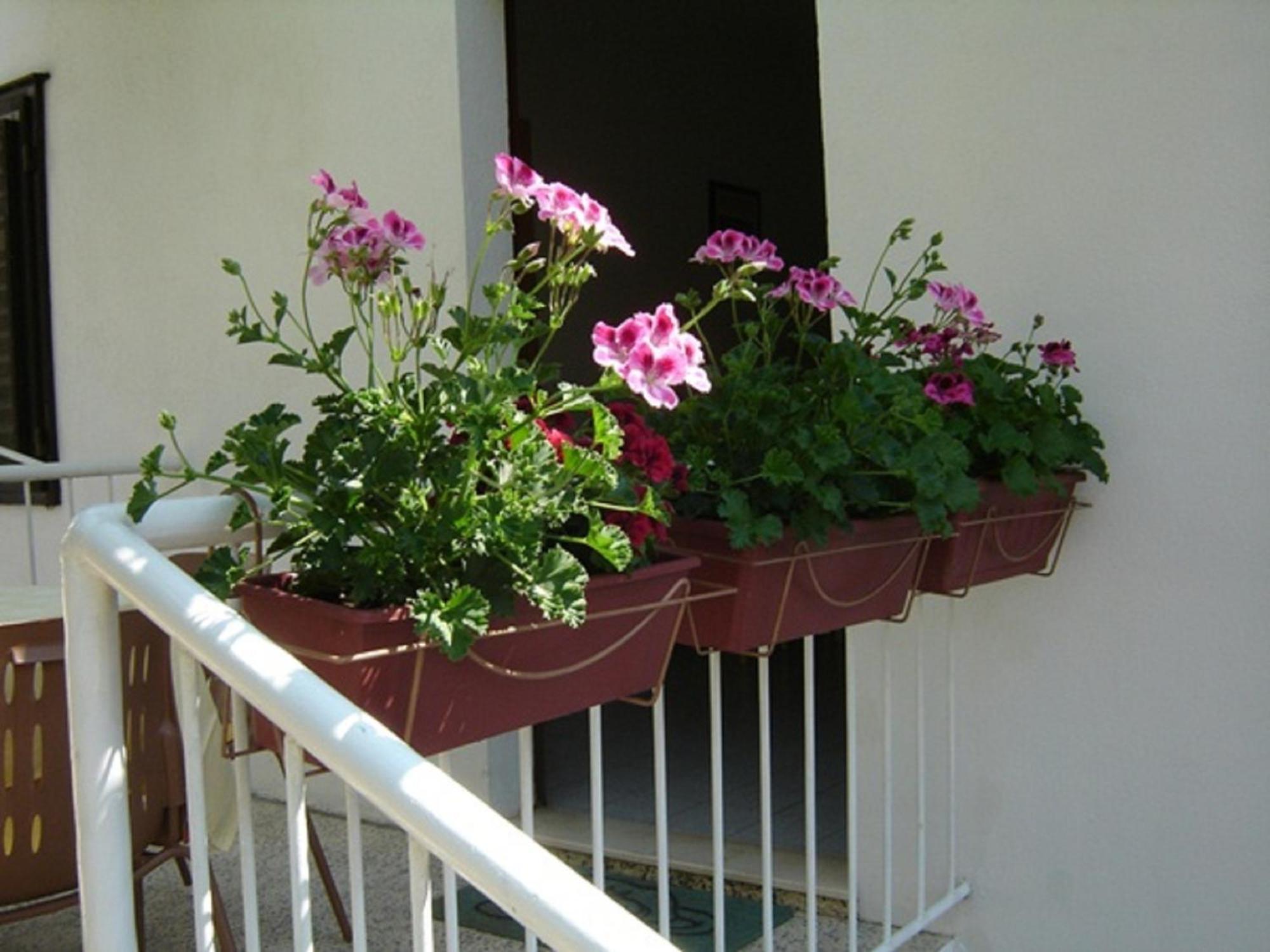 Apartmani Luna Hvar Town Esterno foto