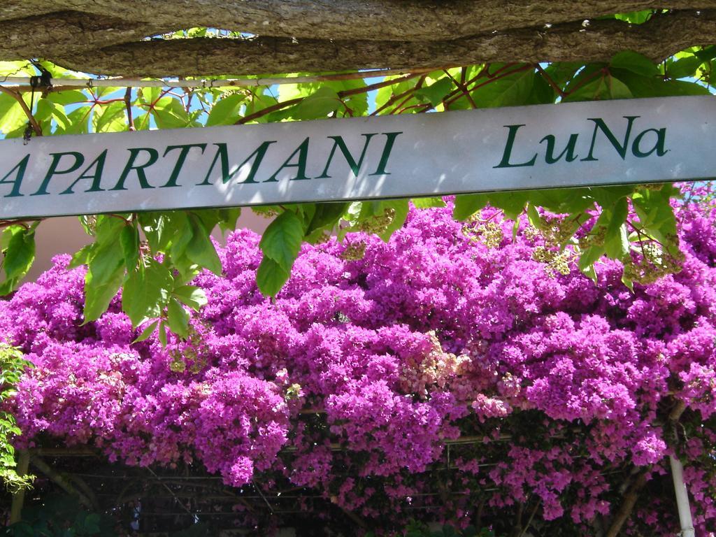 Apartmani Luna Hvar Town Esterno foto